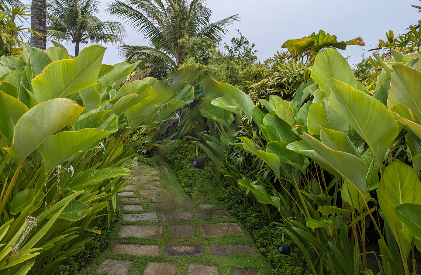 cebu-wedding-crimson2025 (5)