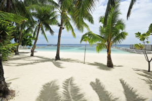 セブ島コスタベラホテル　ウエディング　海外挙式セブ島コスタベラ