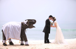 プーケット島フォトウエディング |プーケット島ビーチフォト |プーケットウエディングフォト | プーケット島前撮り|プーケットウエディングフォト|プーケット島撮影|プーケットカメラマン|Phuket Wedding Photo