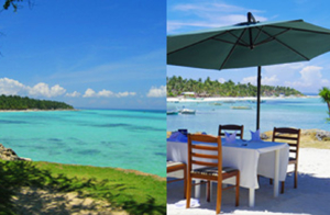 セブ　バンタヤン島　セブ離島　セブツアー　セスナ