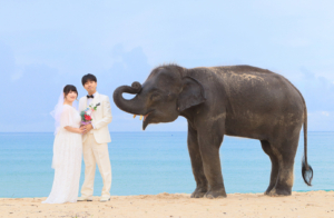 phuket-photo-wedding phuket-wedding プーケットフォトウエディング プーケットウエディング プーケット結婚式 海外挙式　プーケット