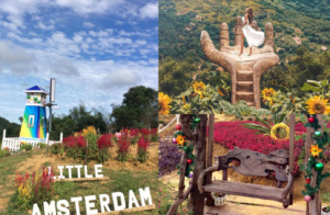 セブフォトスポット　セブインスタ映え　セブ島ウエディングフォト　Cebu garden wedding photo