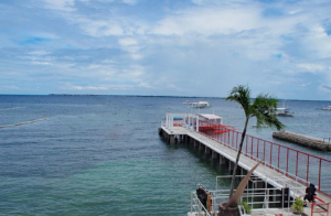 セブ島結婚式場　セブ挙式会場　セブ青空ウエディング　セブ桟橋結婚式　cebu　aozora wedding venue