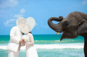 phuket-photo-wedding phuket-wedding プーケットフォトウエディング プーケットウエディング プーケット結婚式 海外挙式　プーケット