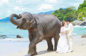 Thai wedding phuket-photo-wedding phuket-wedding タイ結婚式　プーケットフォトウエディング プーケットウエディング プーケット結婚式 海外挙式　プーケット